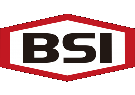 BSI